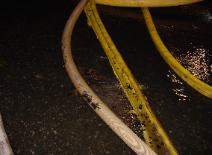 Hoses that were melted due to the extreme heat
